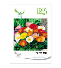 Iris Imported Poppy Mix 750 Seeds